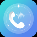 : Call Recording v10.1.0.302   HUAWEI  HONOR, EMUI 10.1 (5.5 Kb)