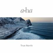 : a-ha - True North (2022) (30.5 Kb)