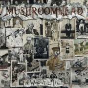 : Mushroomhead - A Wonderful Life (2020) (38.4 Kb)