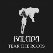 :  - - Kaleida - Tear The Roots (2017) (15.9 Kb)