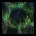 : Trance / House - Matthias Meyer, Ryan Davis - Cafun (Original Mix) (30.6 Kb)