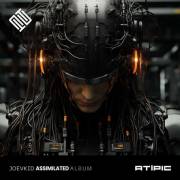:   - Joevkid - Assimilated (2023) (35.8 Kb)