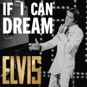 : Elvis Presley - If I Can Dream The Very Best of Elvis (2022)
